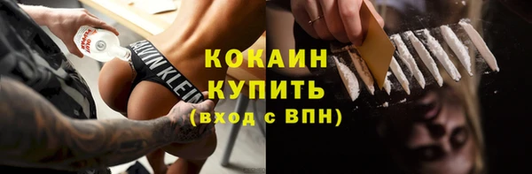 прущие грибы Сосновоборск