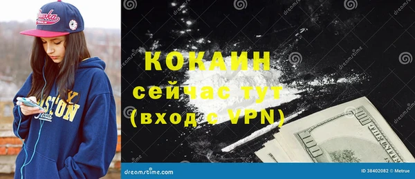 прущие грибы Сосновоборск