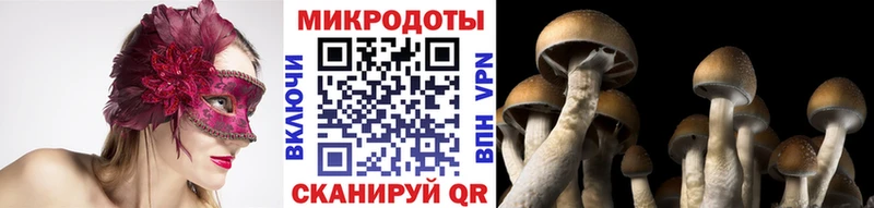 Галлюциногенные грибы Cubensis  даркнет формула  Певек 